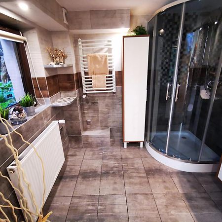 Apartament Aldi Bielsko-Biała Exterior foto